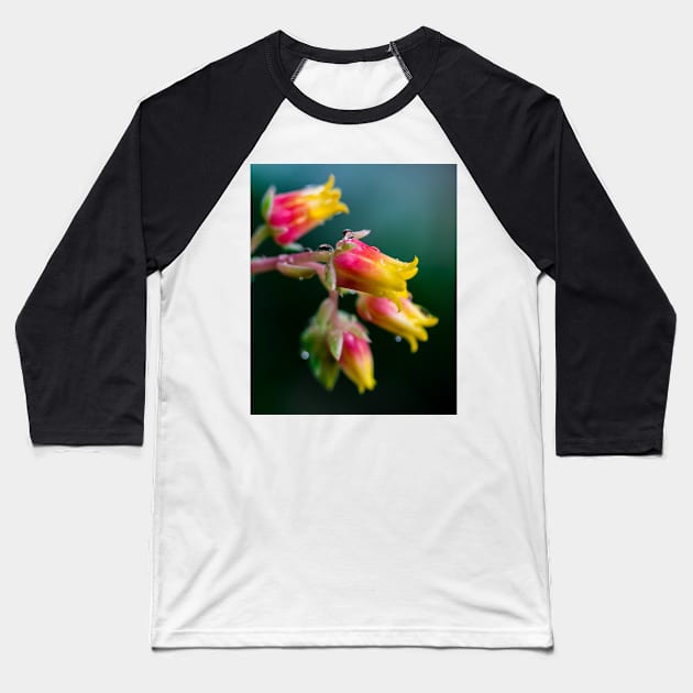 FLOWERS, NATURE’S Fashion Models Baseball T-Shirt by anothercoffee